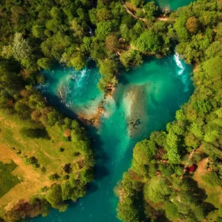 Padrino Bp Novi Grad